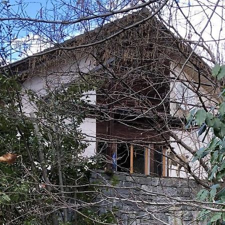 Gemuetliche Ferienwohnung Mit Garten Biasca Exterior photo